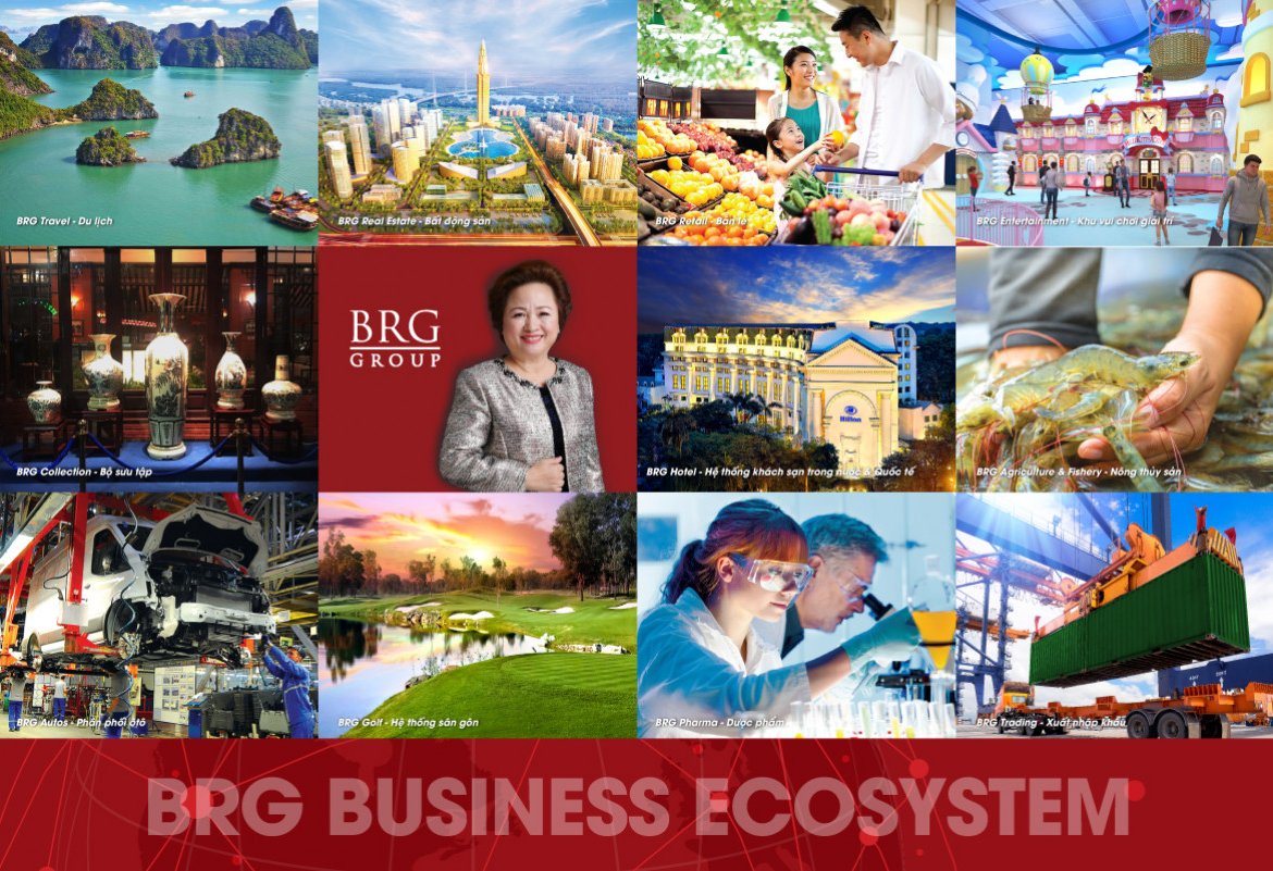 Tập đoàn BRG logo